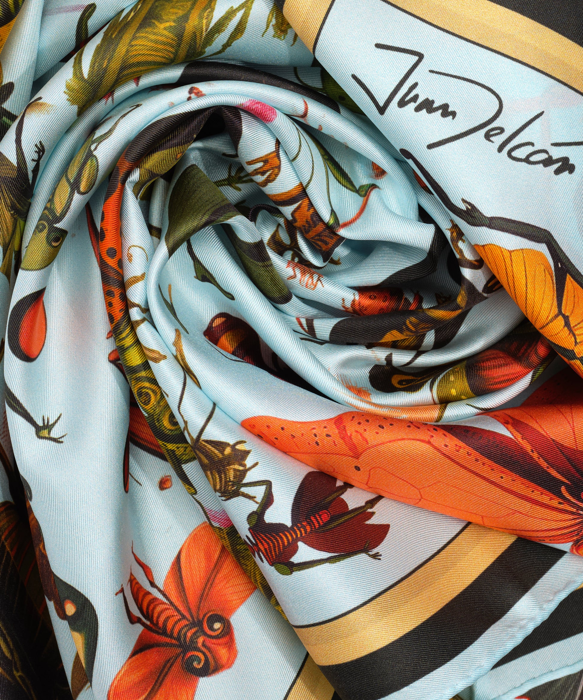 Juan Delcan scarf in color multi