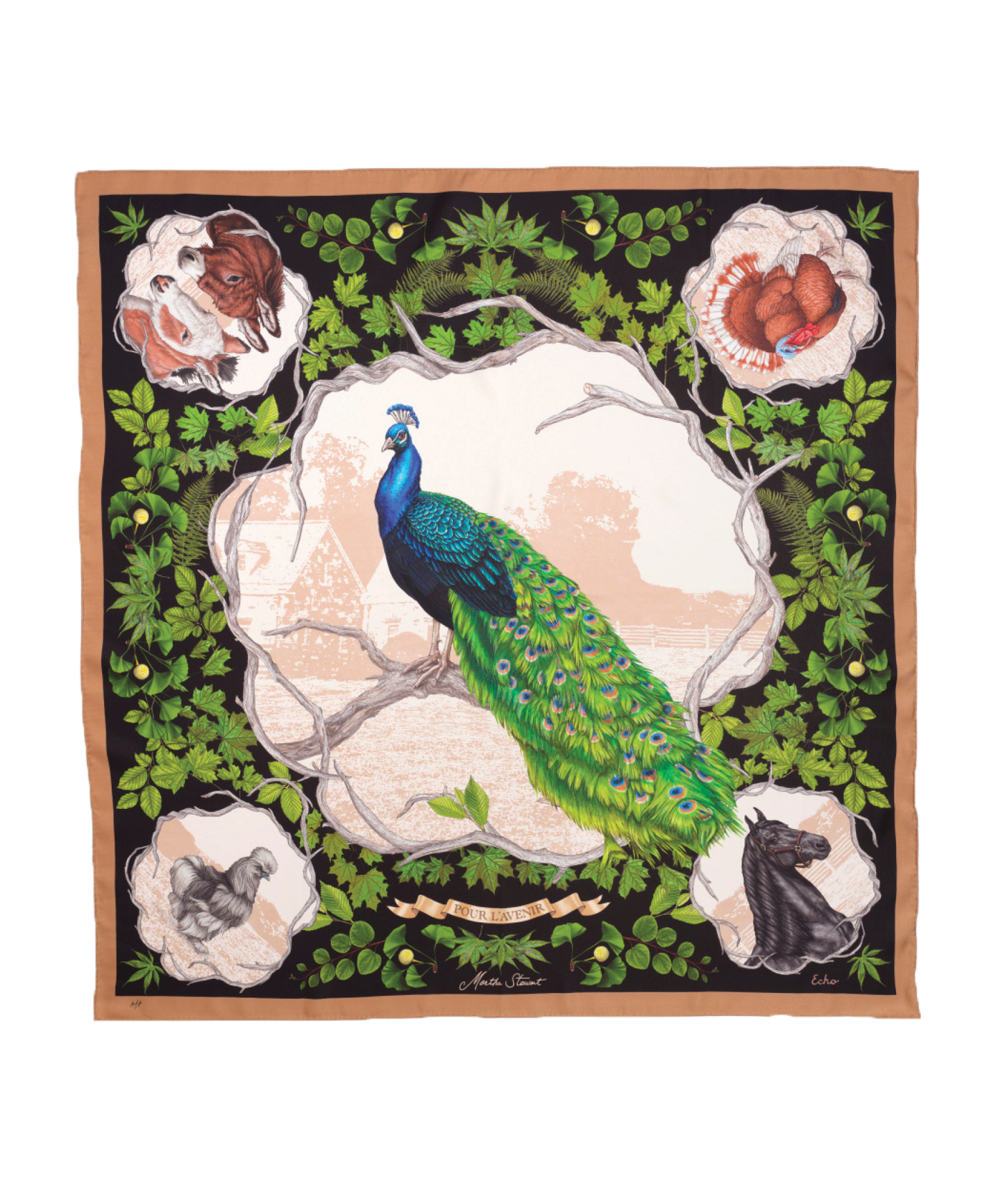 Martha Stewart Echo100 Scarf