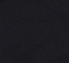 Swatch:Black