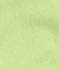 Swatch:Bright Green