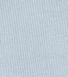Swatch:Echo Silver