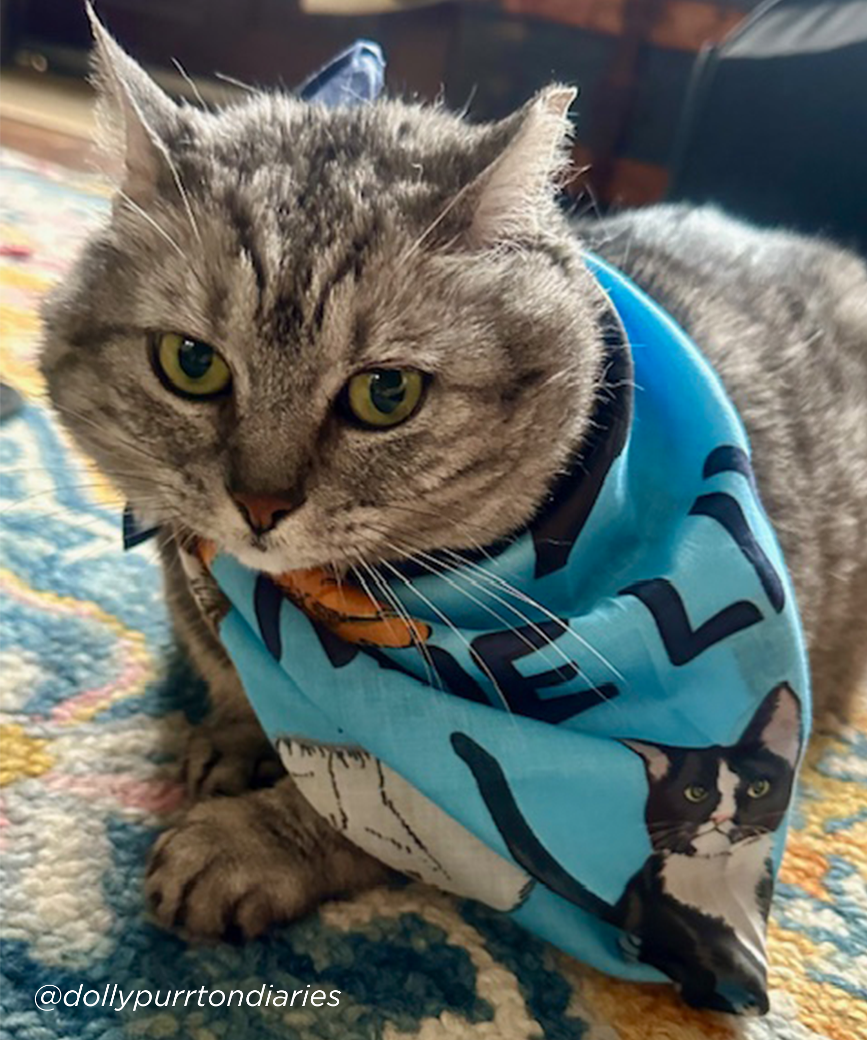 Cat wearing Nine Lives Cotton Bandana