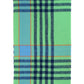Buzzy Plaid Scarf in color Spearmint