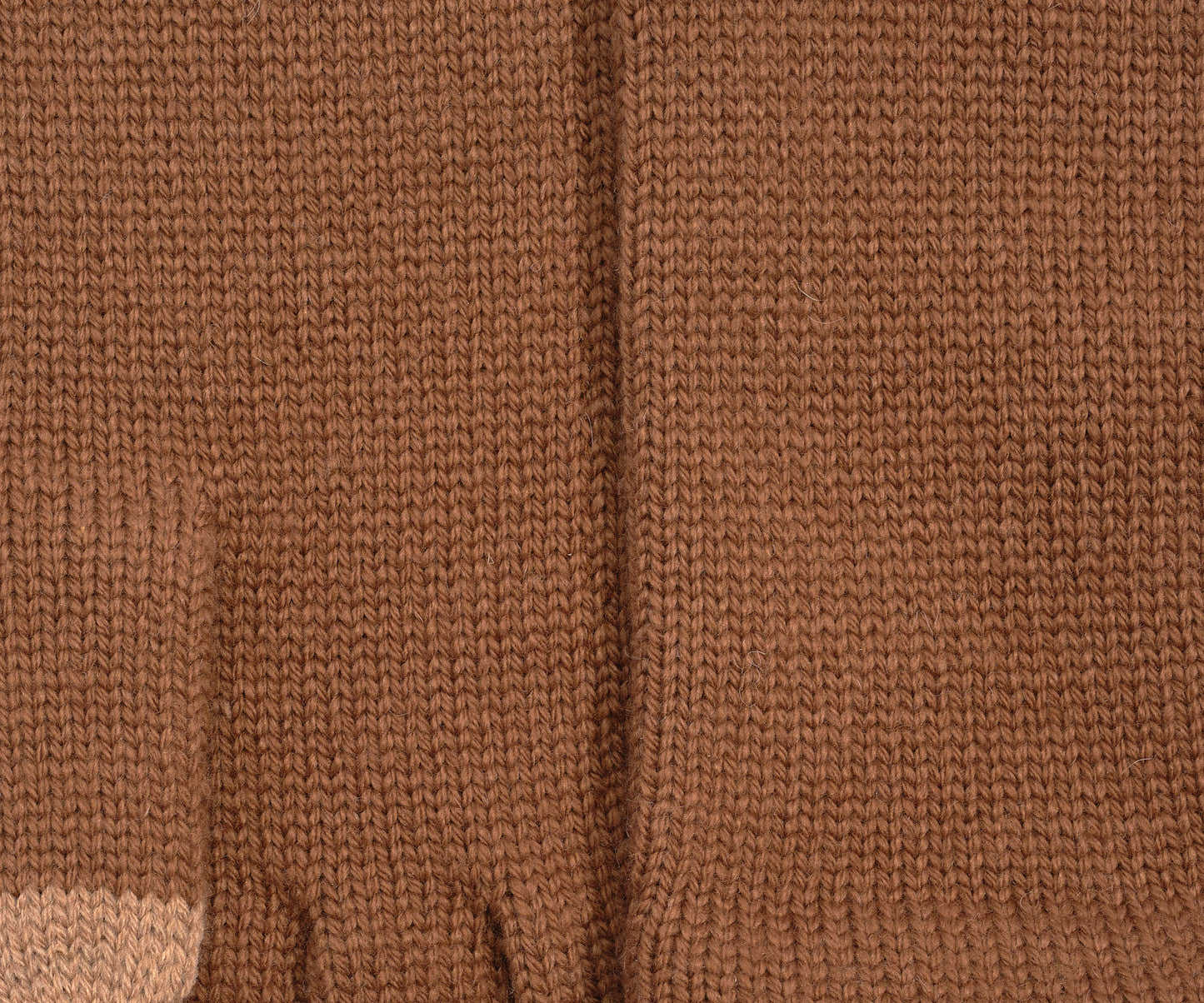 Echo Touch Glove in color nutmeg