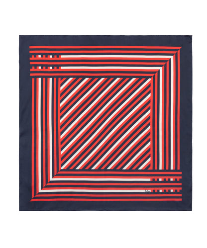 Stripes Silk Scarf in Multi