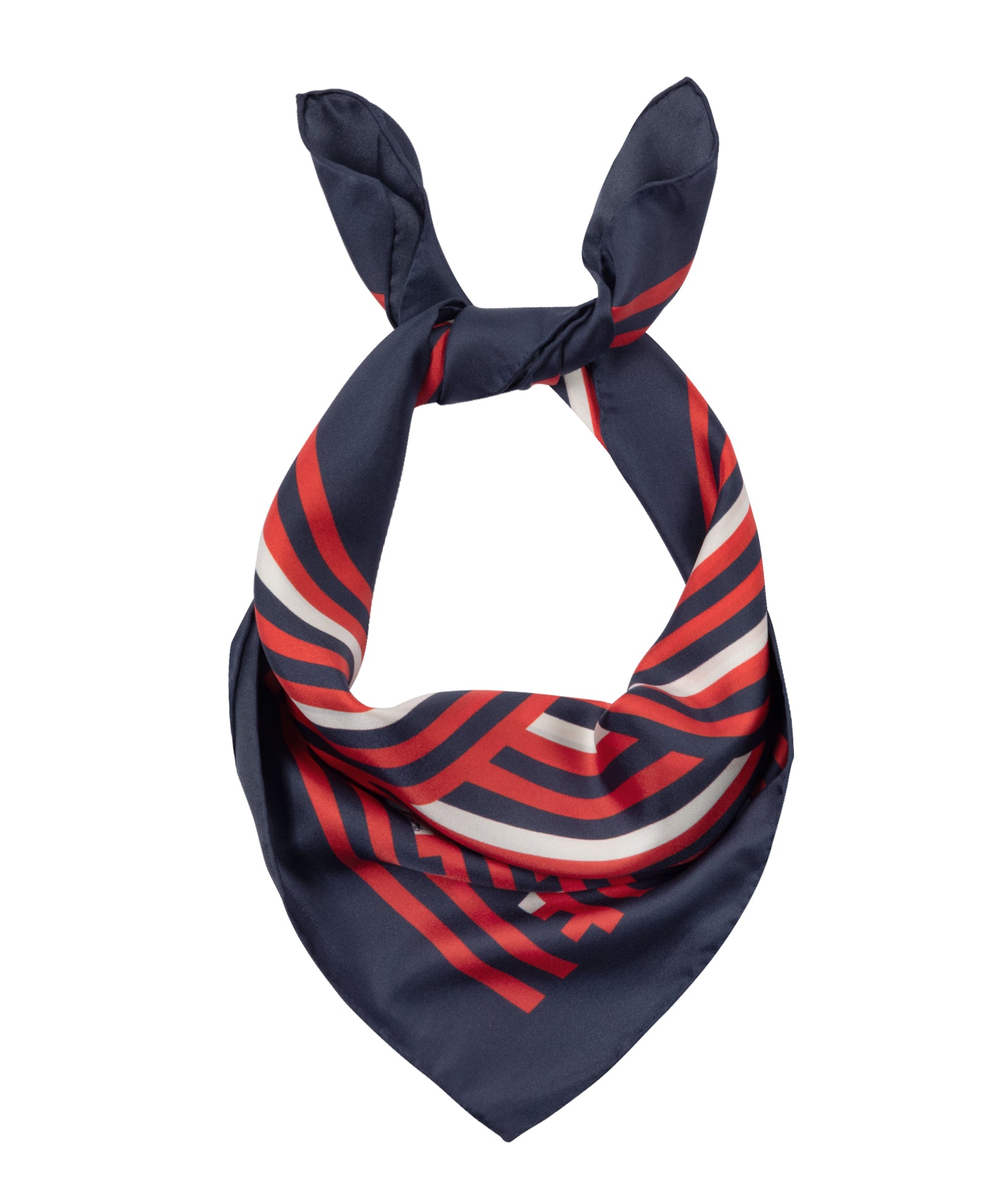Stripes Silk Scarf in Multi