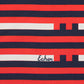 Stripes Silk Scarf in Multi