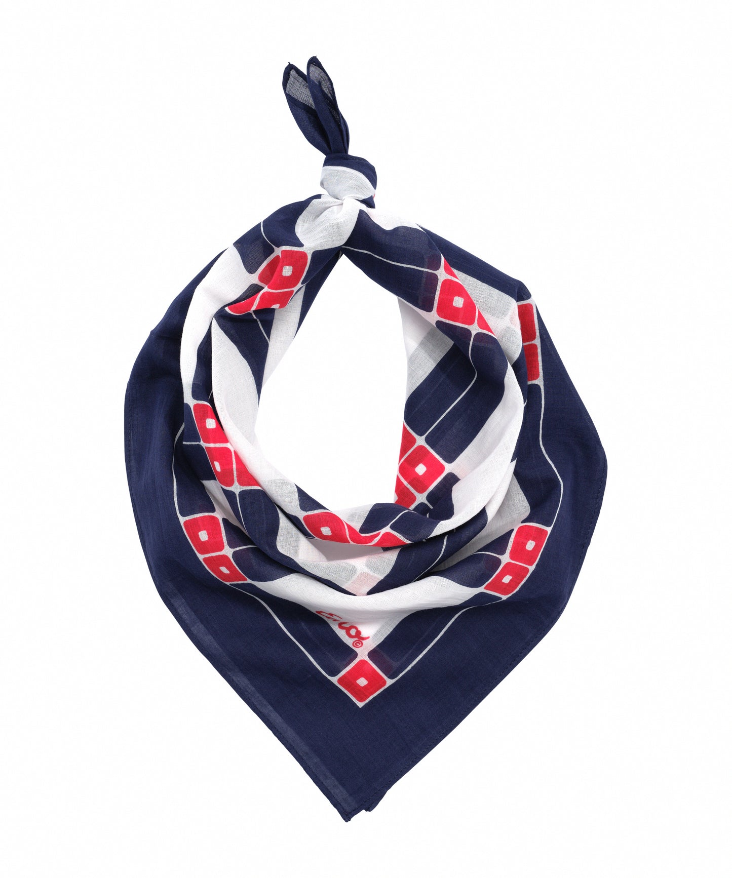 The Fillmore 23" Bandana