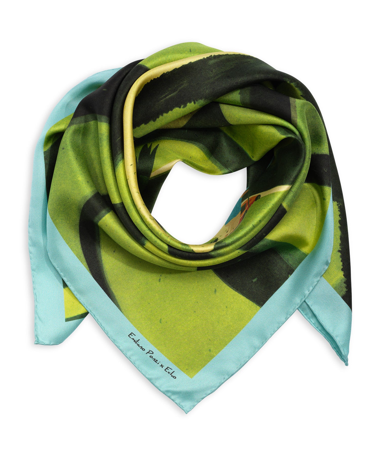 Emiliano Ponzi scarf in color multi