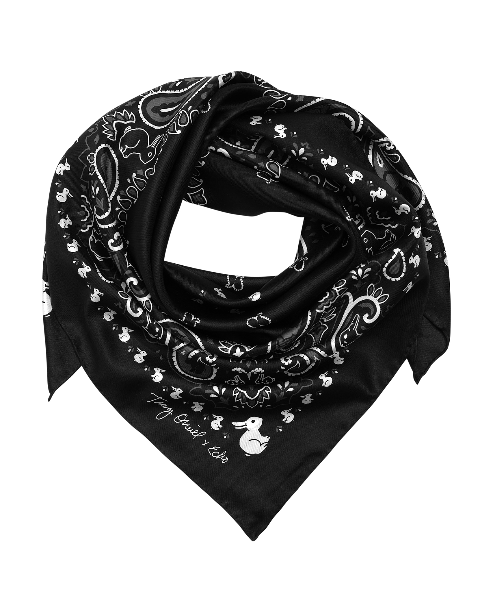 Tracy O'Neill's Echo100 Scarf