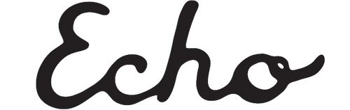 Echo New York logo