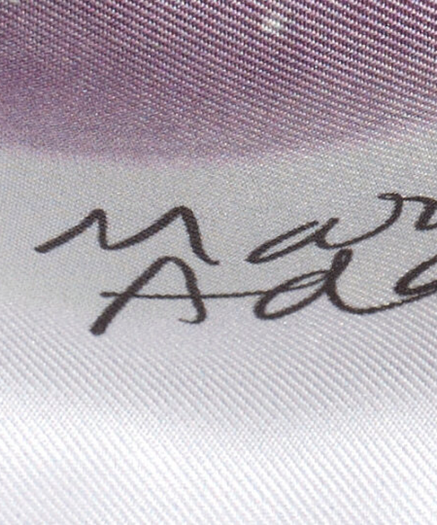 Stanley Whitney and Marina Adams Echo100 Scarf