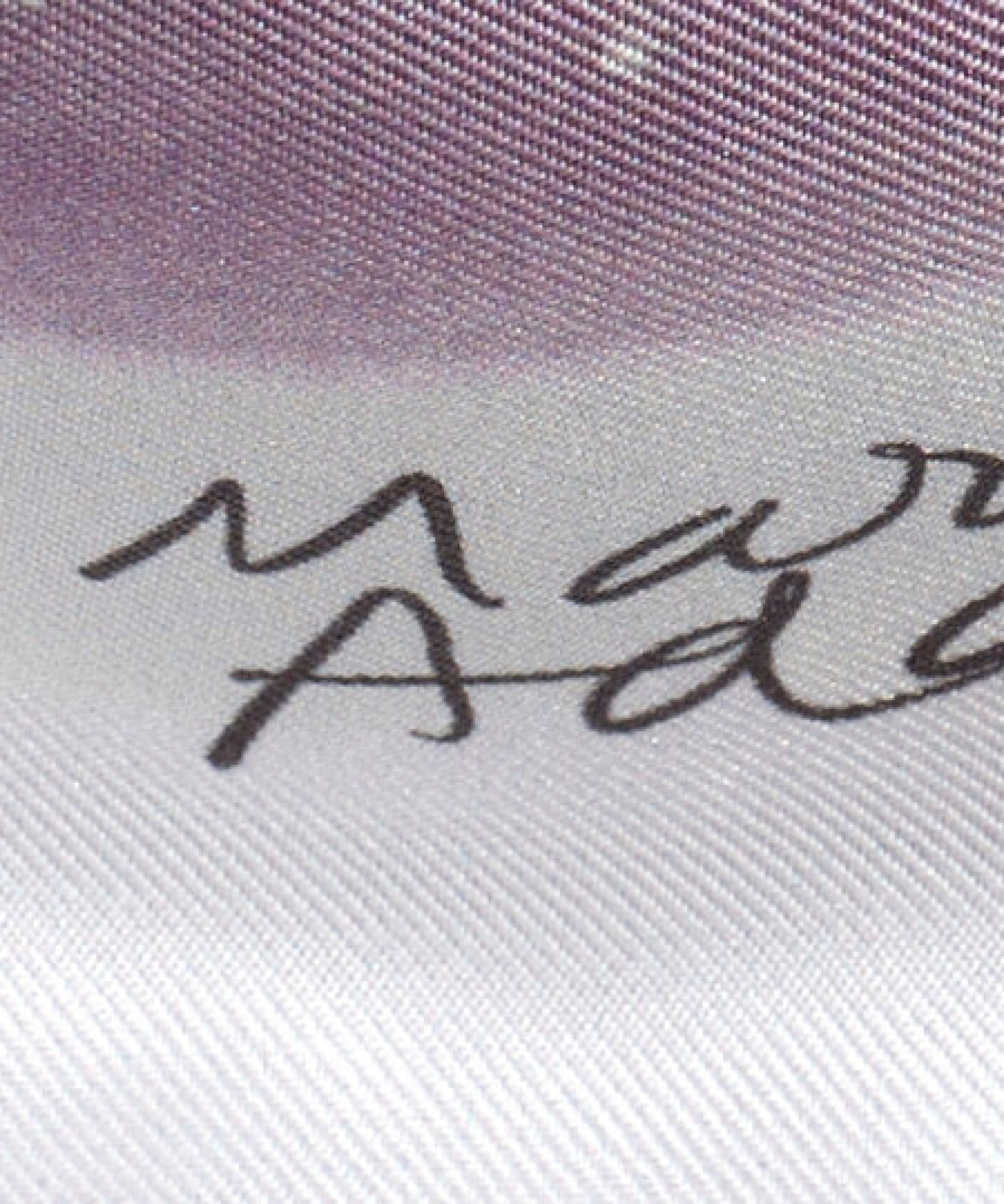 Stanley Whitney and Marina Adams Echo100 Scarf