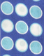 Ultramarine