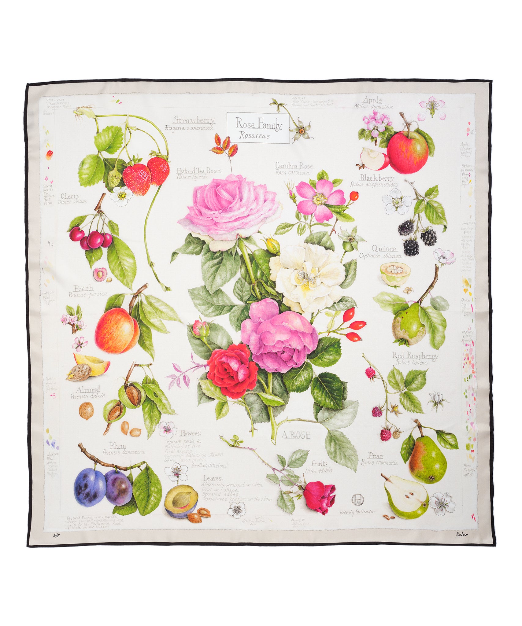 Wendy Hollender scarf