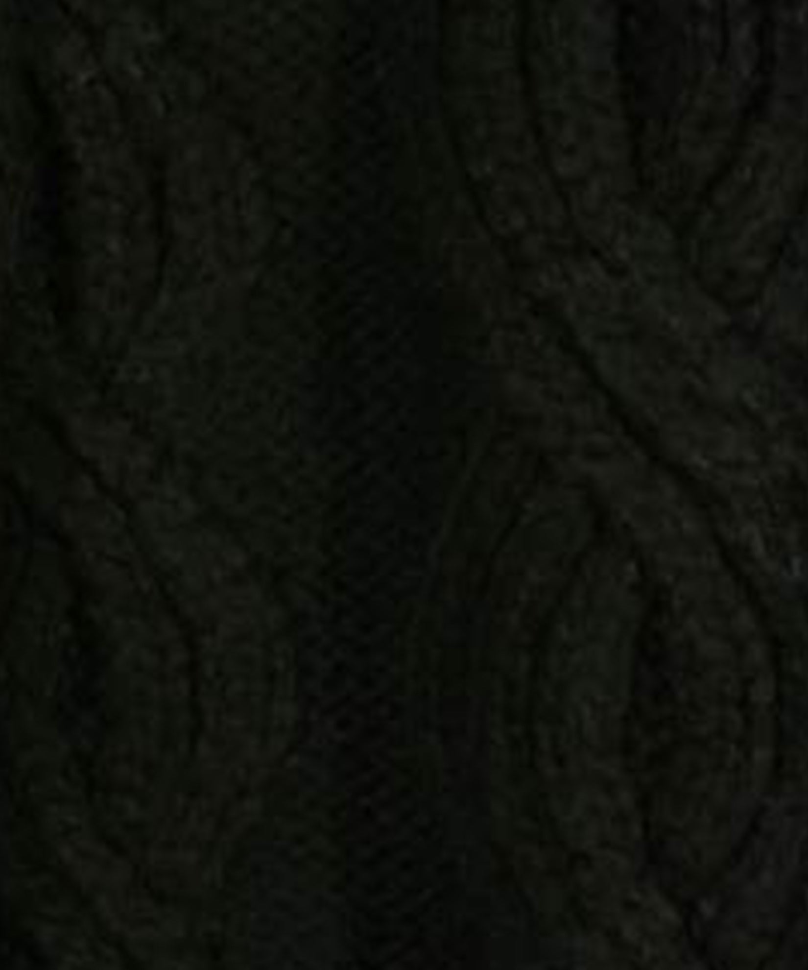 Swatch:Black