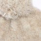 Color:Cream