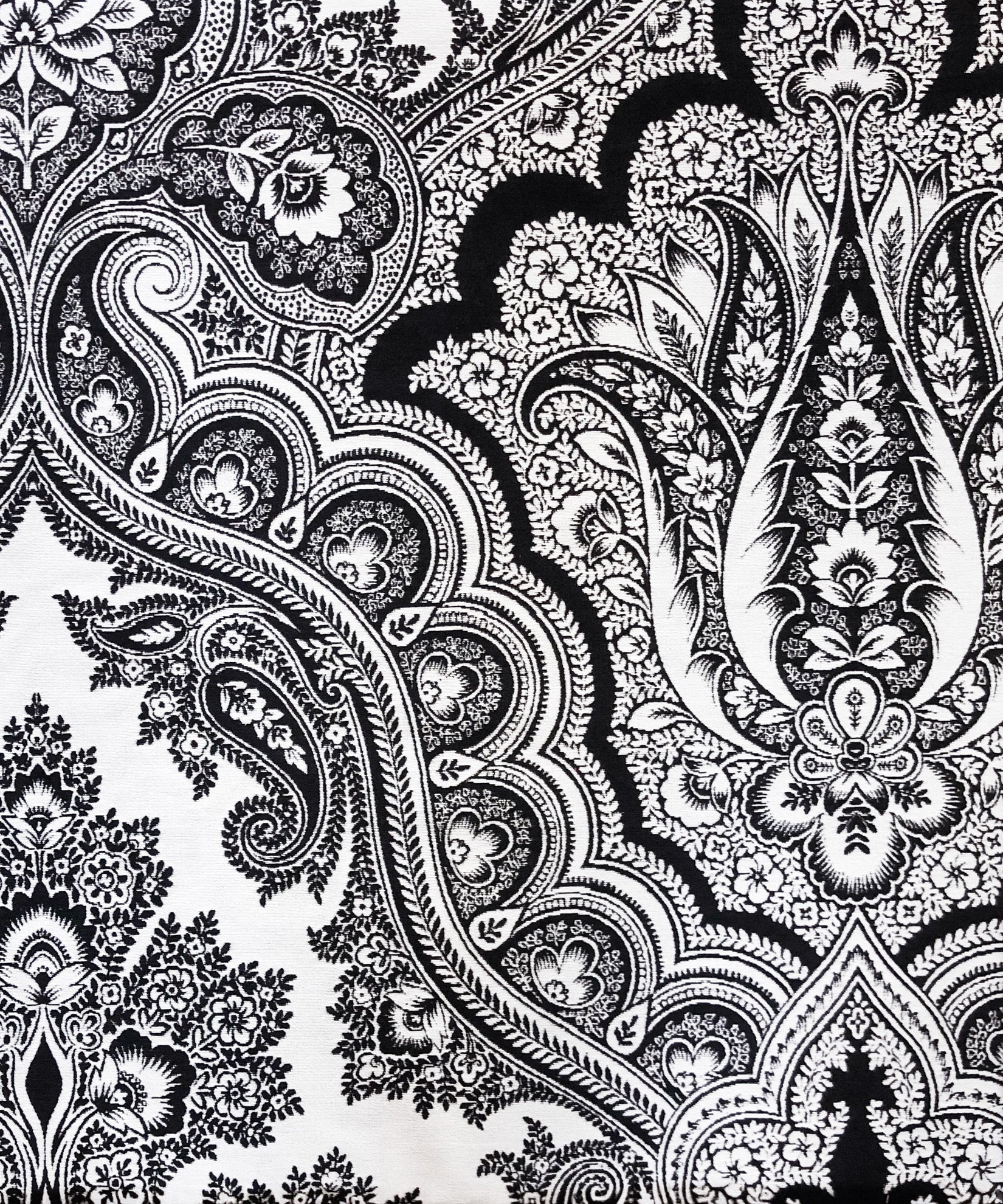 Modern Paisley Fabric in color Black